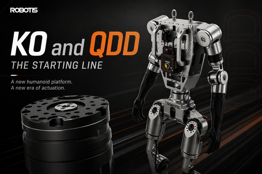 K0 and QDD - The Starting Line 